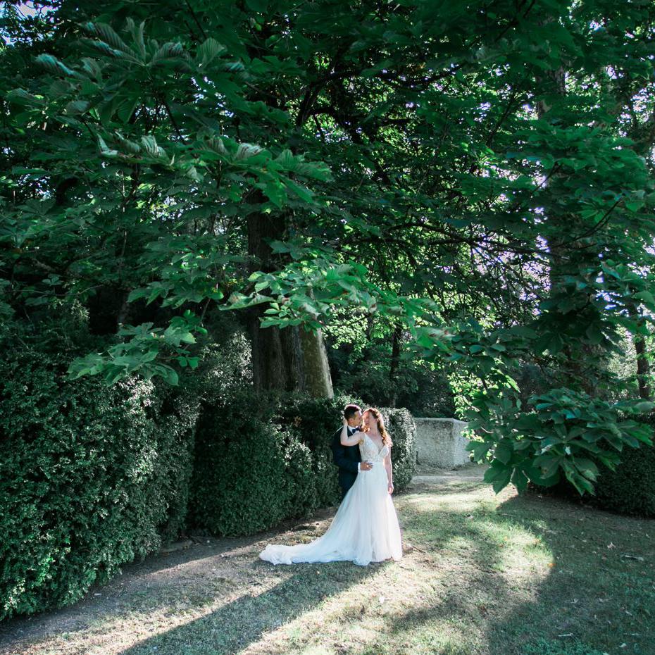dans le parc au pied du cèdre